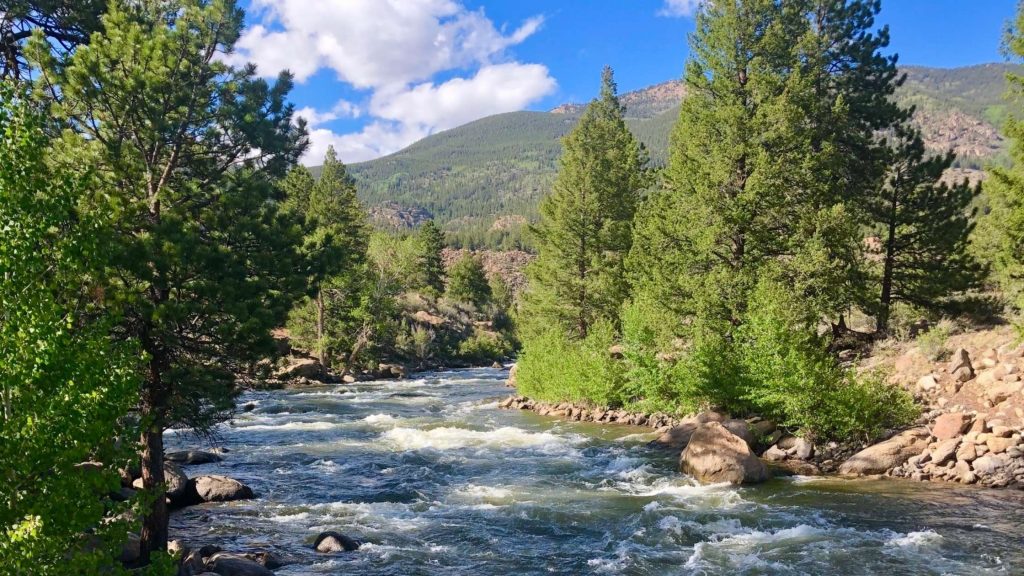 A KODI Rafting destination with a forest bank in the fall with a stream flowing between the trees.