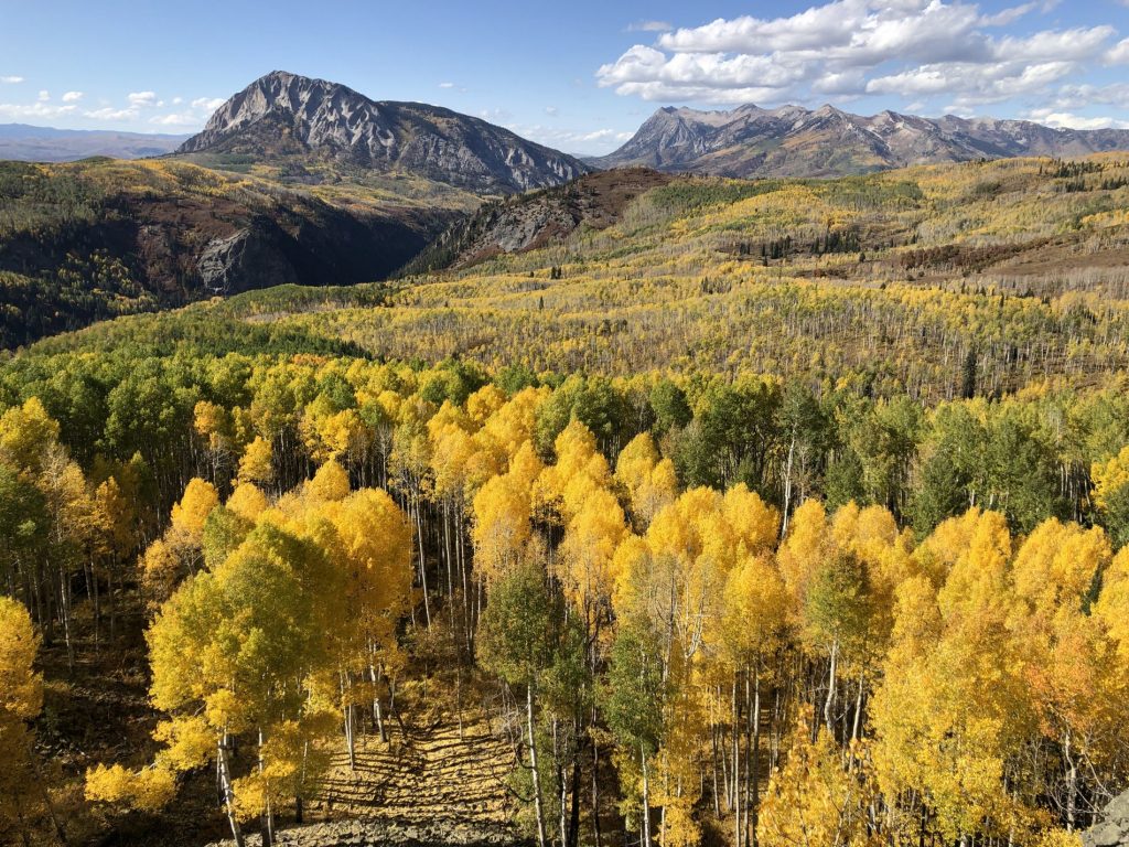 A landscape shot of the yellow Aspen Forest and mountain perfect for river rafting trips and hiking