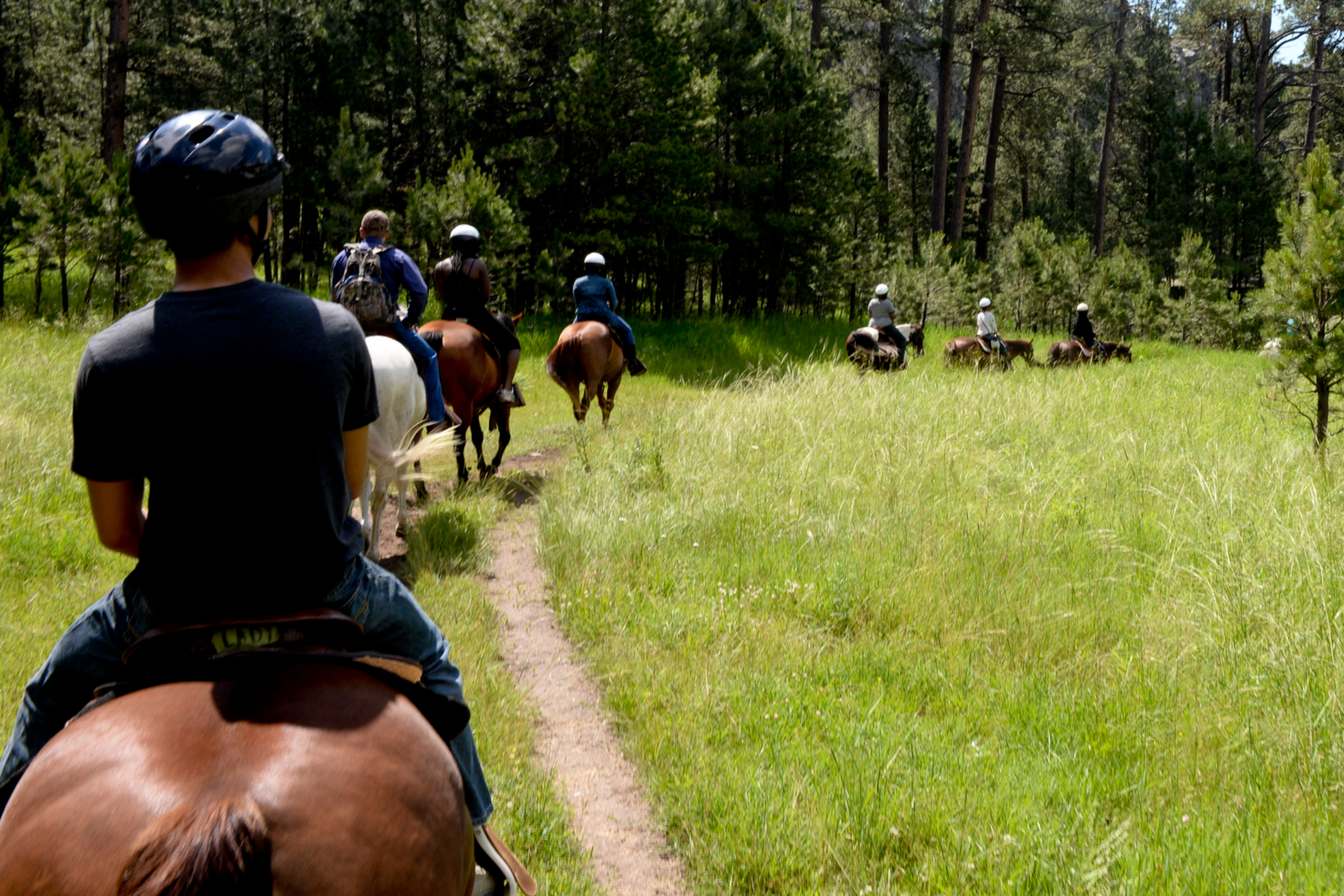 Horse riders on a forest trail ride during their groupon whitewater rafting and hiking adventures