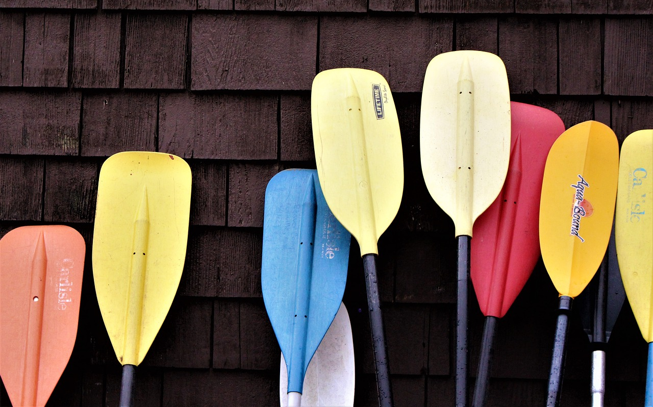 Nine paddles of different colors for rowing during a KODI Rafting trip against a brick wall.
