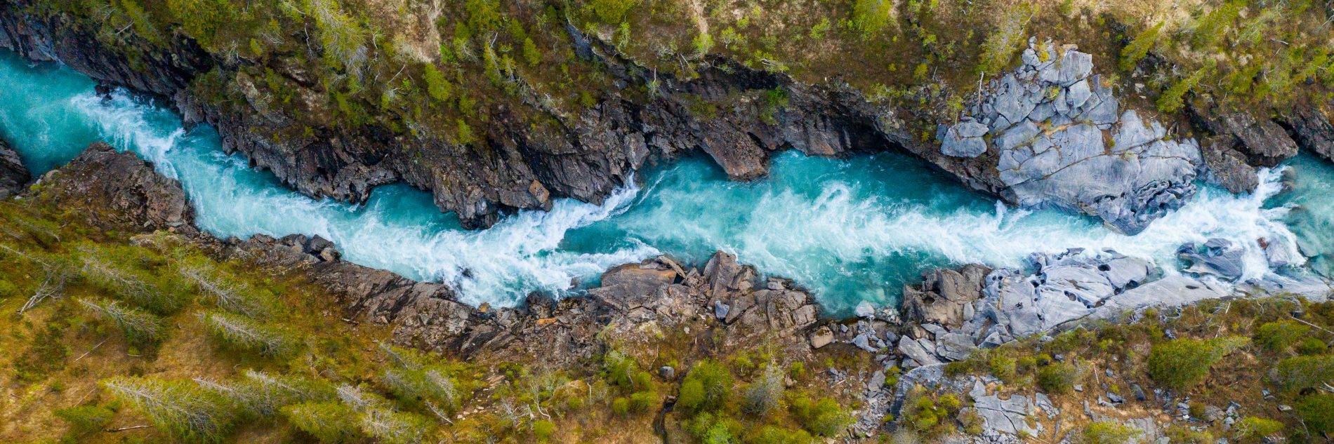 A top-view of a KODI Rafting destination with a fast-flowing river stream flowing between the trees